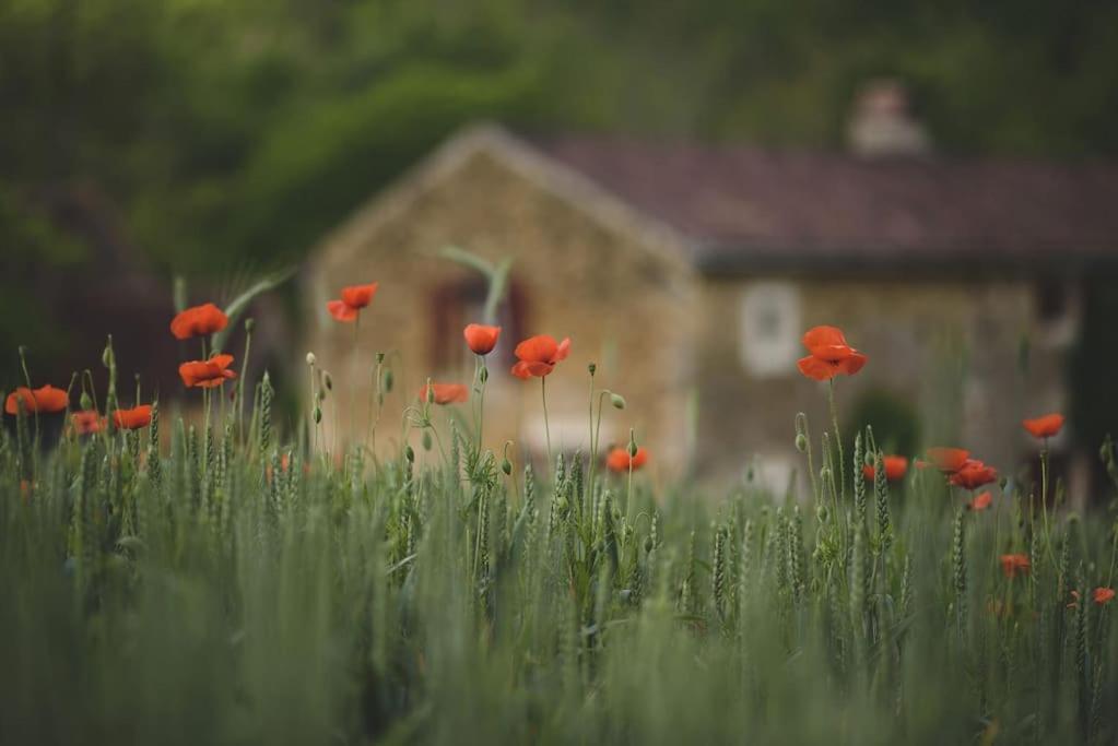 Le Pressoir - Domaine Du Chateau De La Bourlie - Boutique Villa Up To 12 Guests Urval Bagian luar foto